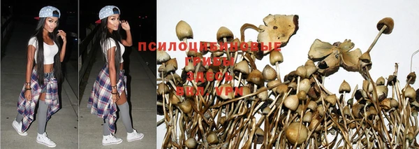 а пвп мука Козельск