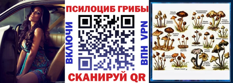 Купить закладки  Бородино  Псилоцибиновые грибы MAGIC MUSHROOMS 